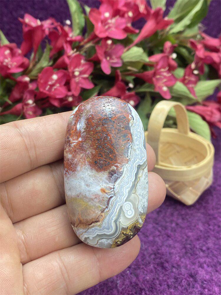 Mexican Agate Palm Stone