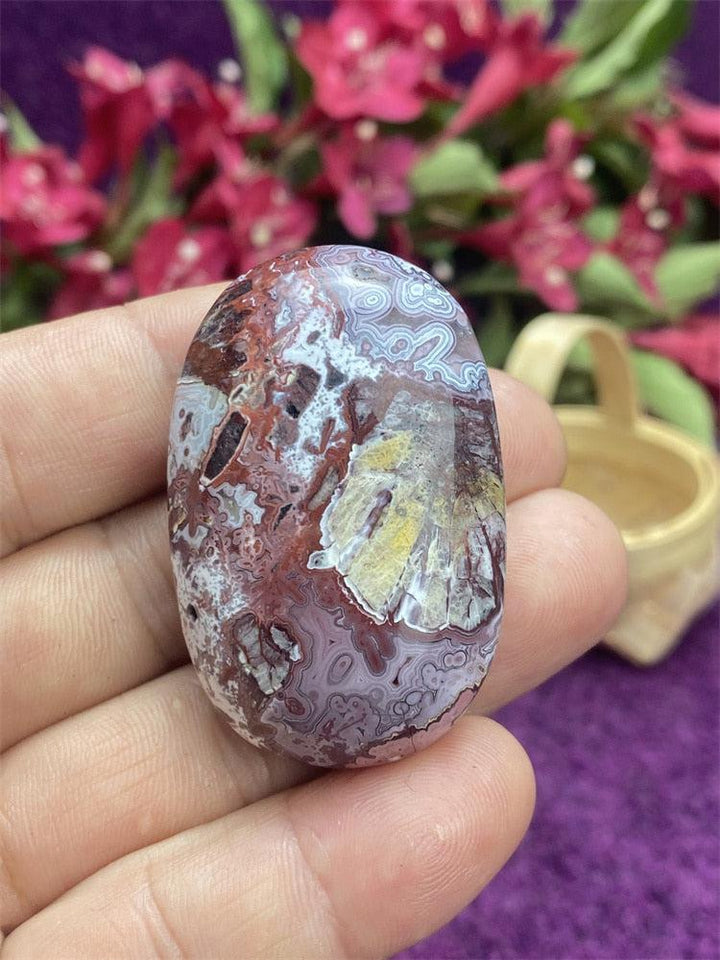 Mexican Agate Palm Stone