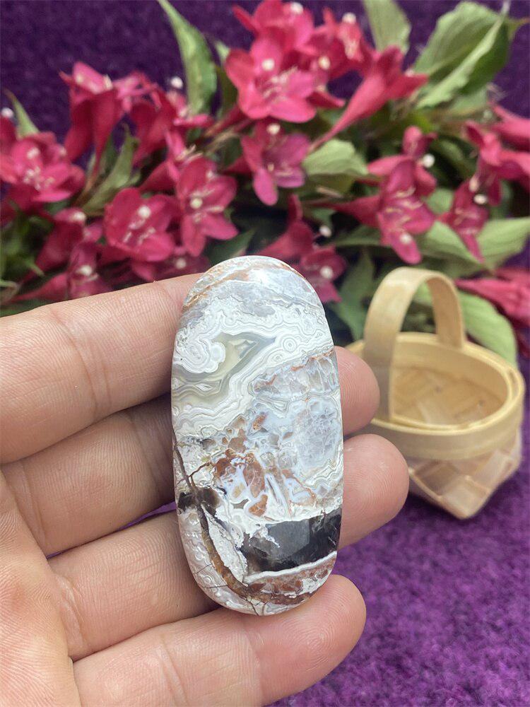 Mexican Agate Palm Stone