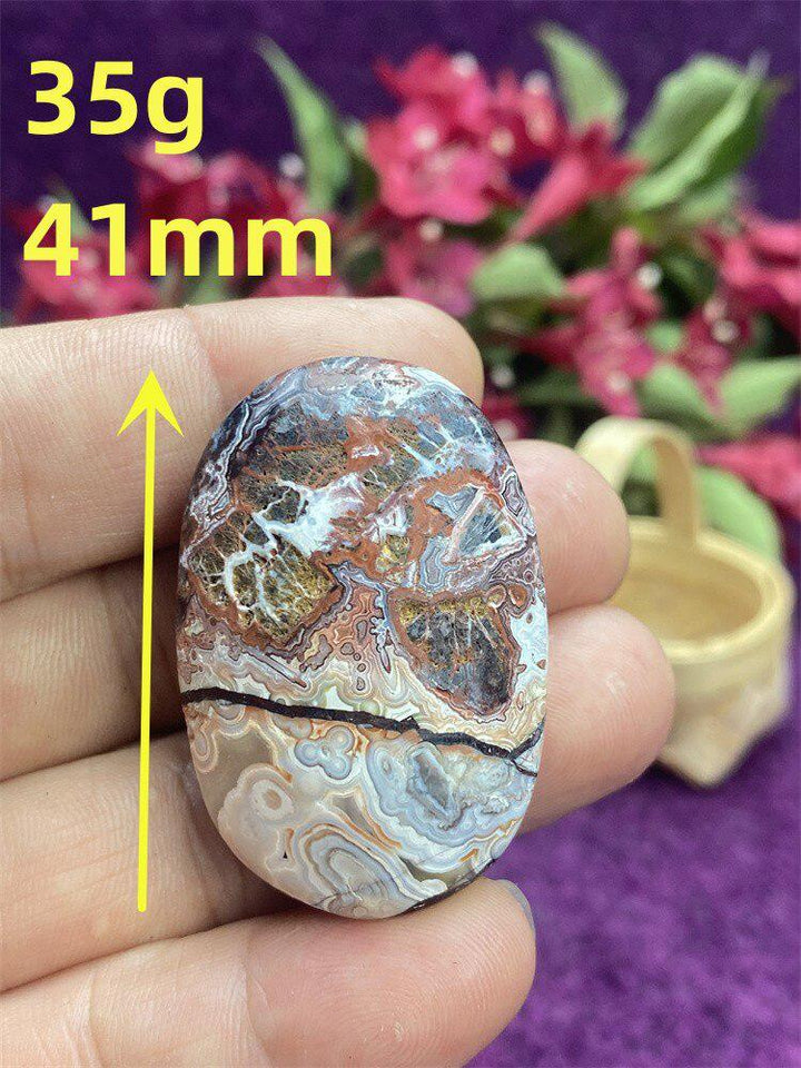 Mexican Agate Palm Stone