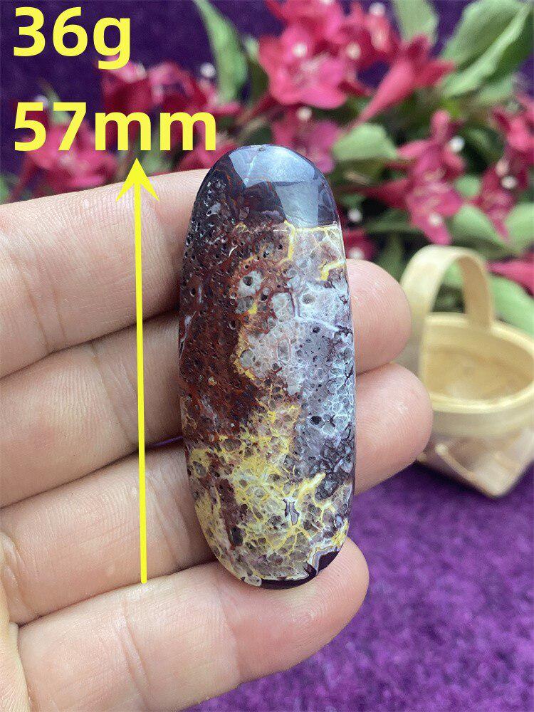 Mexican Agate Palm Stone