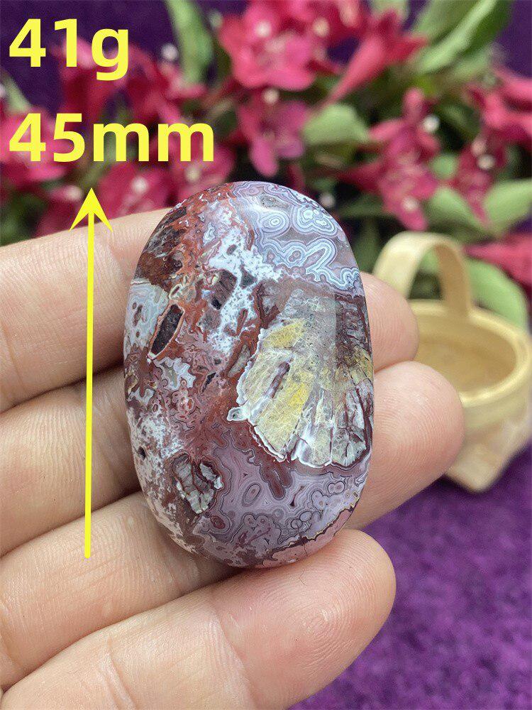 Mexican Agate Palm Stone