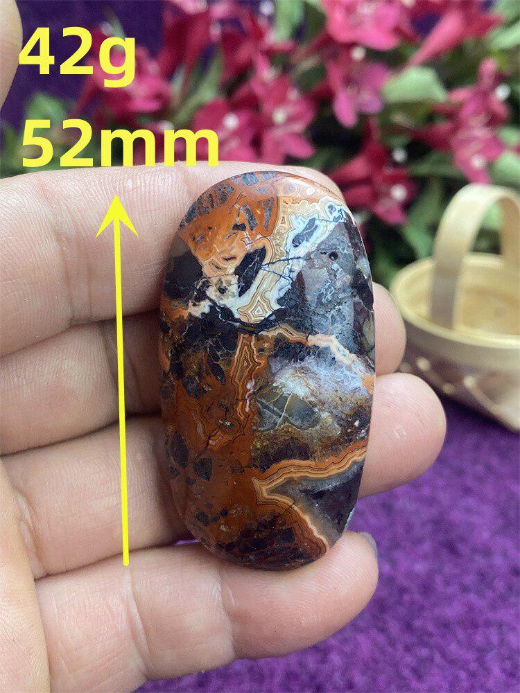 Mexican Agate Palm Stone