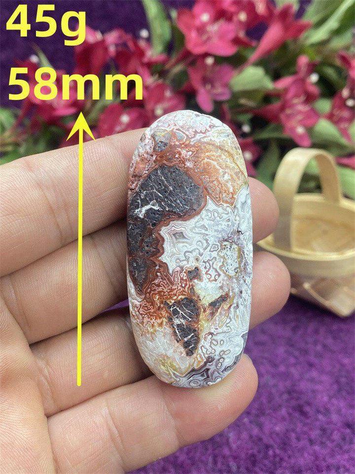 Mexican Agate Palm Stone