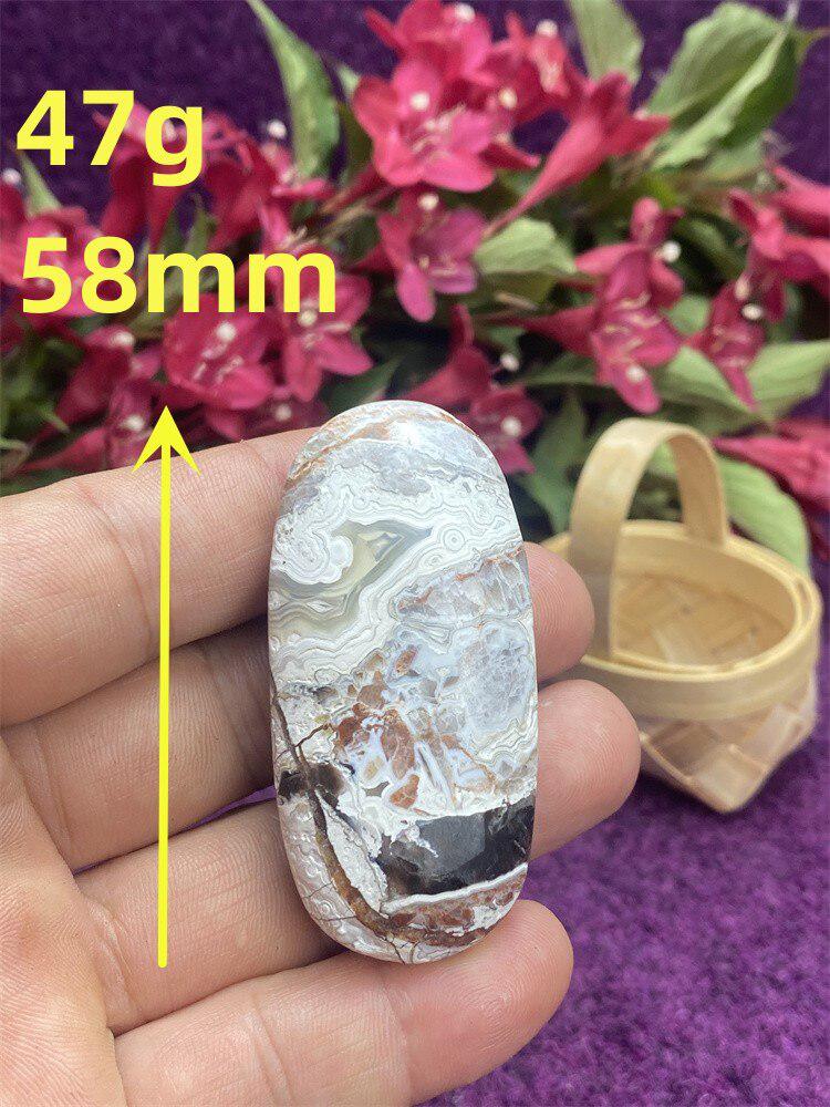 Mexican Agate Palm Stone