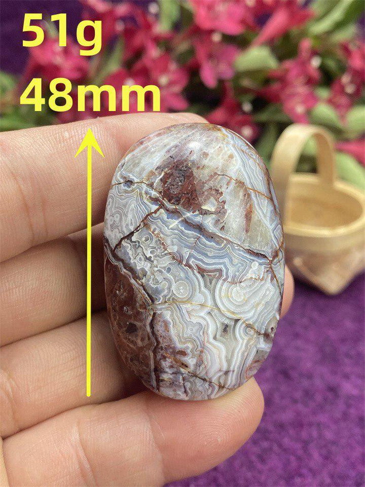 Mexican Agate Palm Stone