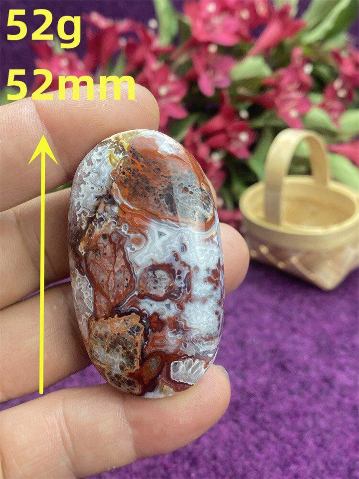 Mexican Agate Palm Stone