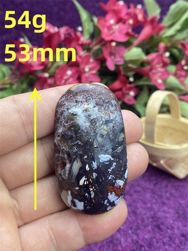 Mexican Agate Palm Stone