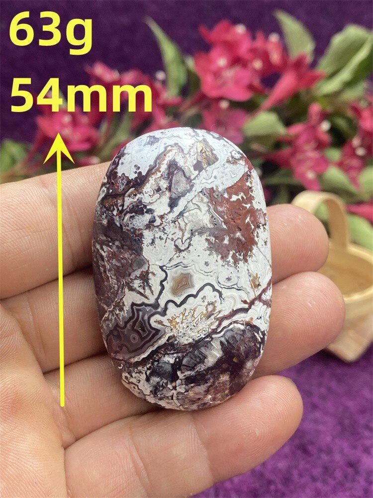 Mexican Agate Palm Stone