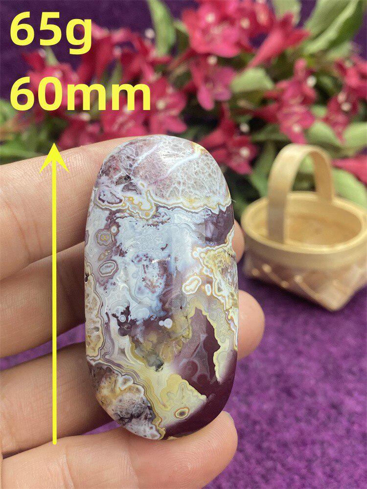 Mexican Agate Palm Stone