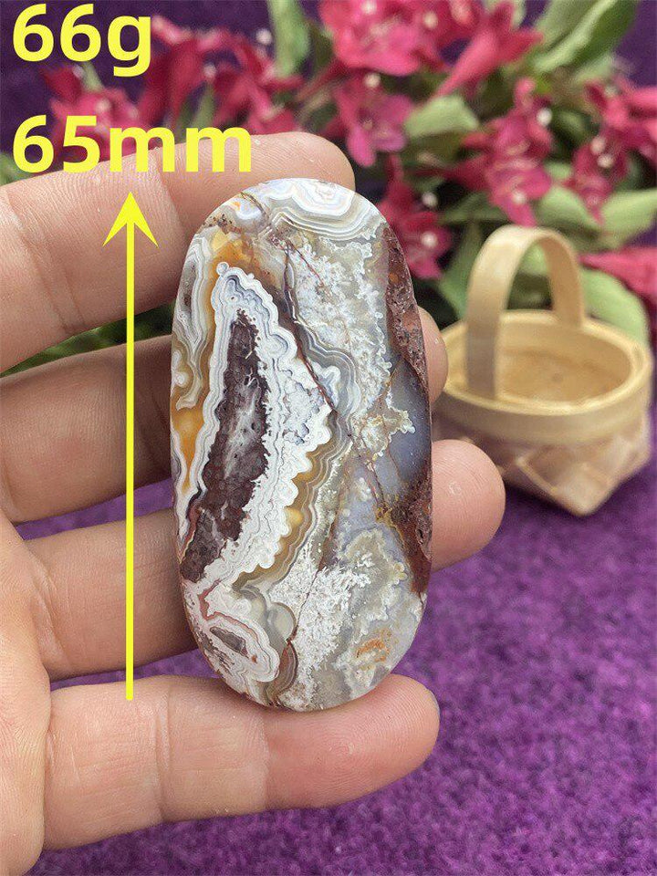 Mexican Agate Palm Stone