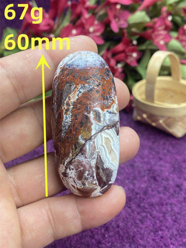 Mexican Agate Palm Stone