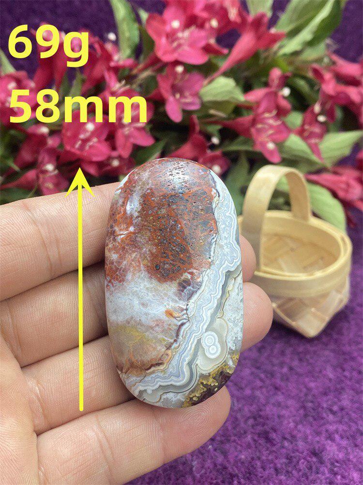 Mexican Agate Palm Stone