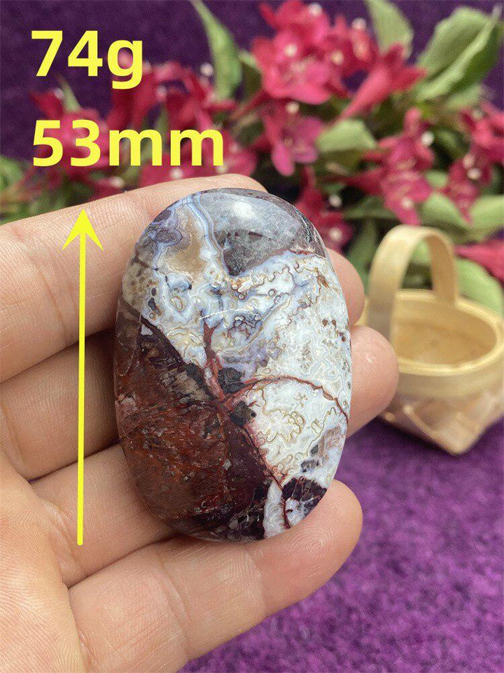 Mexican Agate Palm Stone