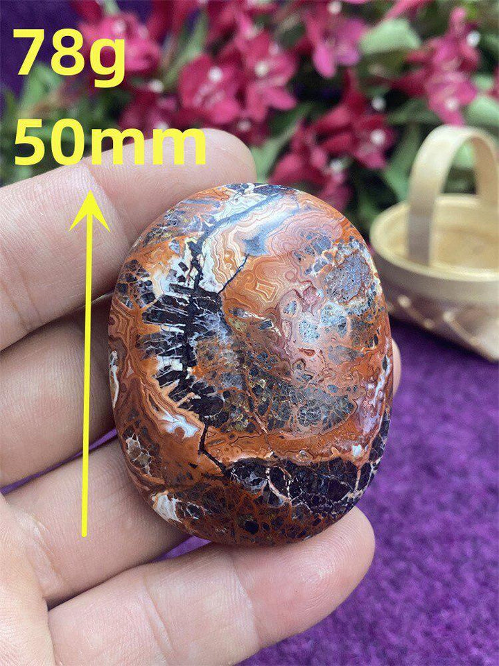 Mexican Agate Palm Stone