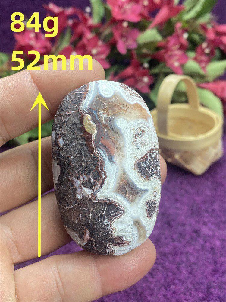 Mexican Agate Palm Stone