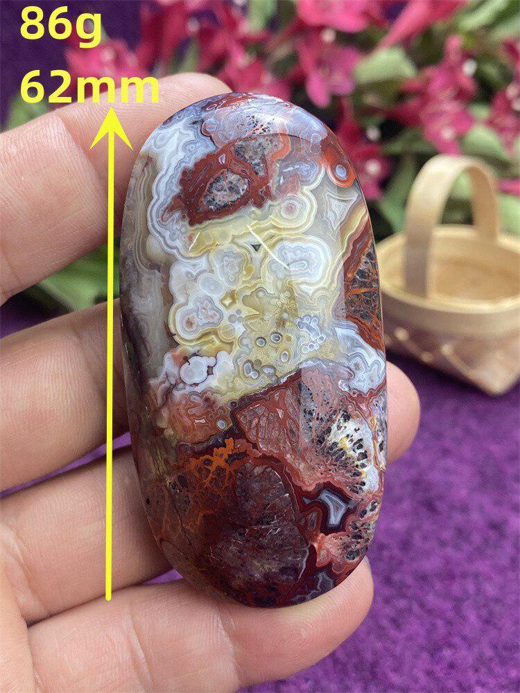 Mexican Agate Palm Stone