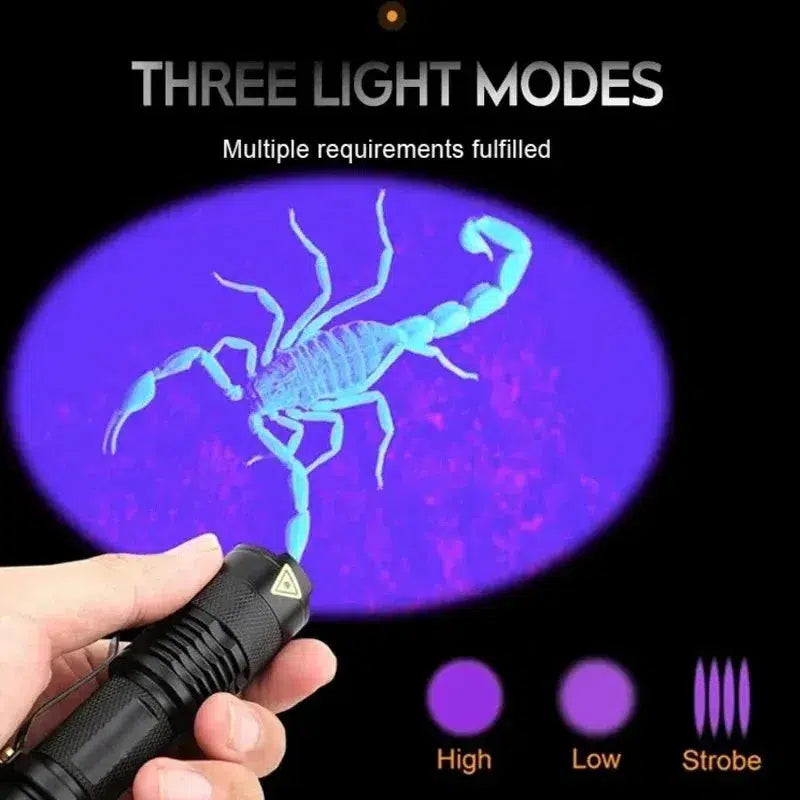 Mini UV Flashlight 365nm Ultraviolet LED