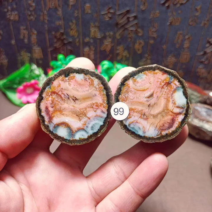 Natural Agate Geode Sliced Pairs