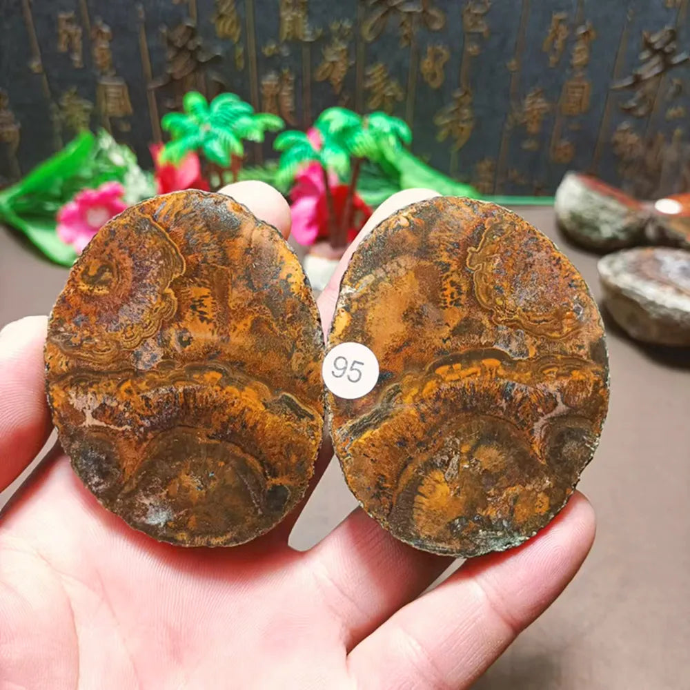 Natural Agate Geode Sliced Pairs