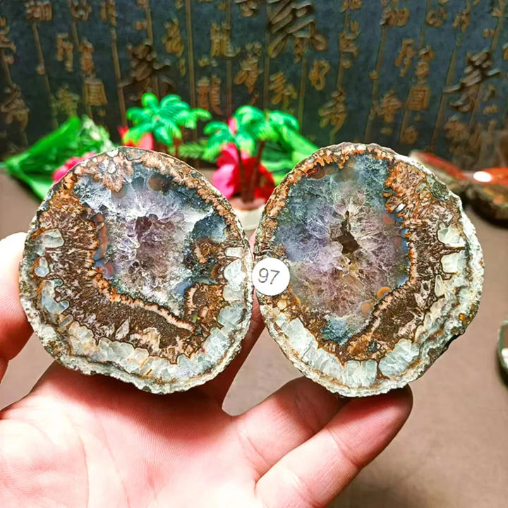 Natural Agate Geode Sliced Pairs