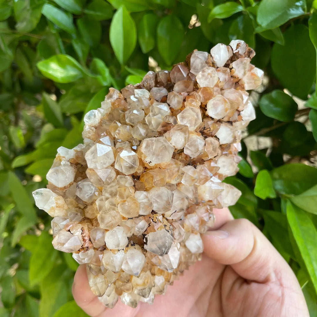 Natural Clear Quartz Pineapple Cluster ‘RARE’