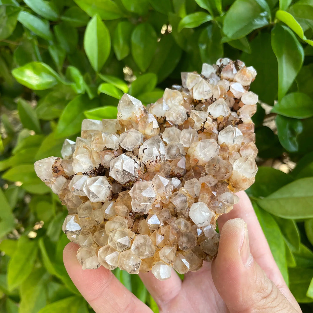 Natural Clear Quartz Pineapple Cluster ‘RARE’