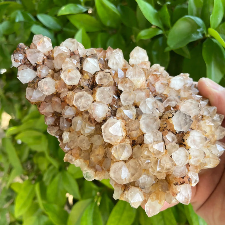 Natural Clear Quartz Pineapple Cluster ‘RARE’