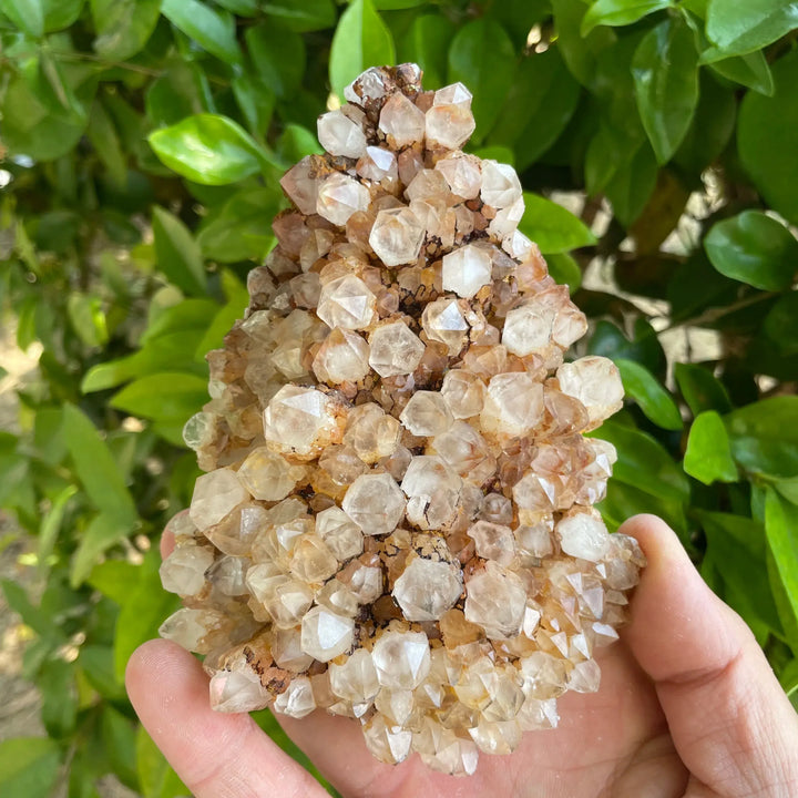 Natural Clear Quartz Pineapple Cluster ‘RARE’