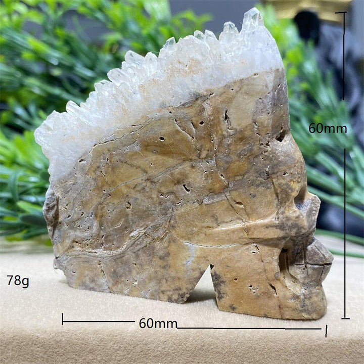 Natural Cranium Quartz Crystal Cluster Skull