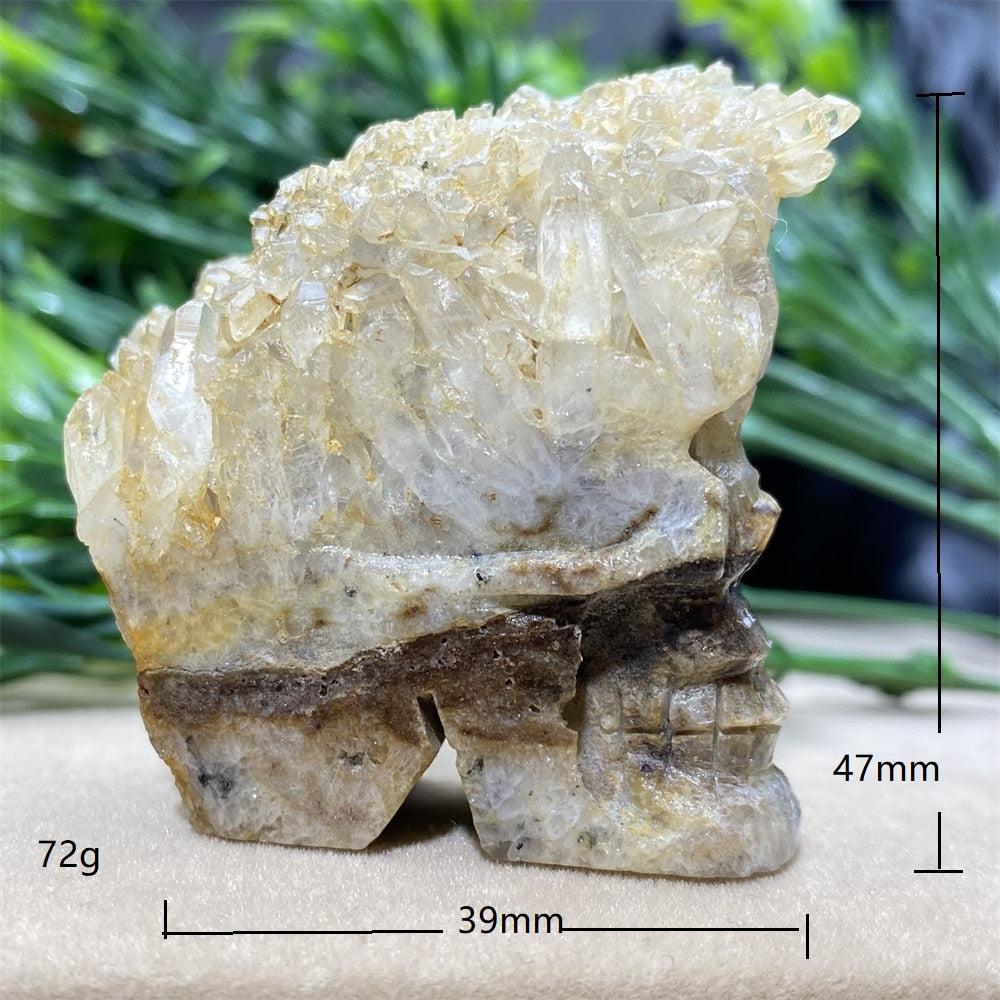 Natural Cranium Quartz Crystal Cluster Skull