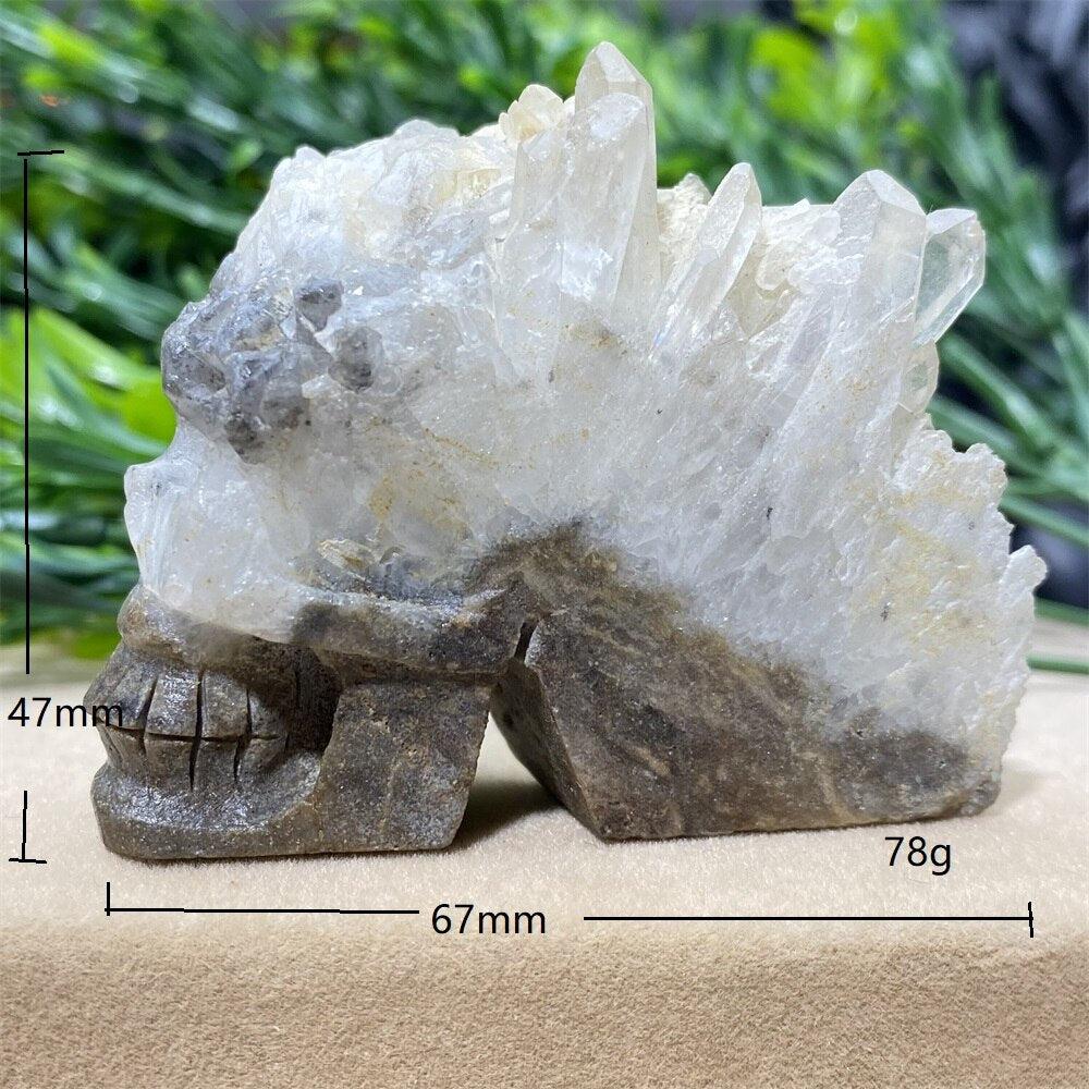 Natural Cranium Quartz Crystal Cluster Skull