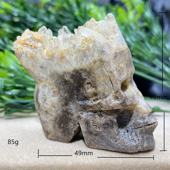 Natural Cranium Quartz Crystal Cluster Skull