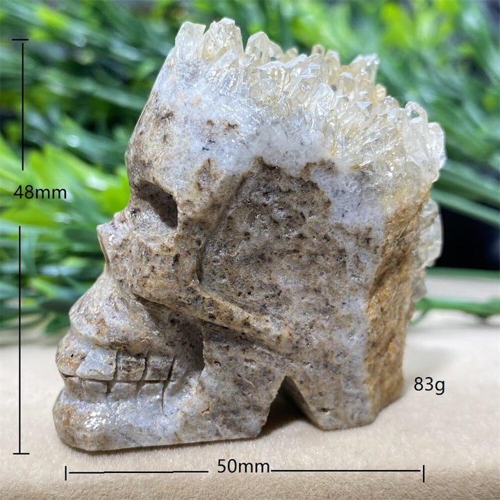 Natural Cranium Quartz Crystal Cluster Skull