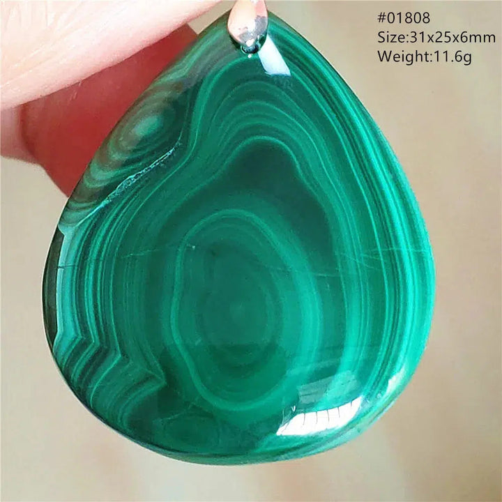 Natural Green Malachite Pendant