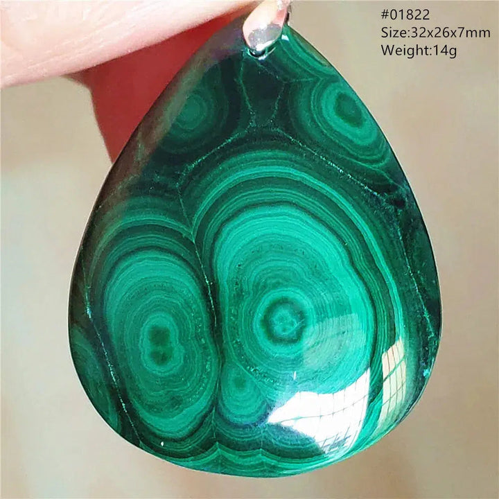 Natural Green Malachite Pendant