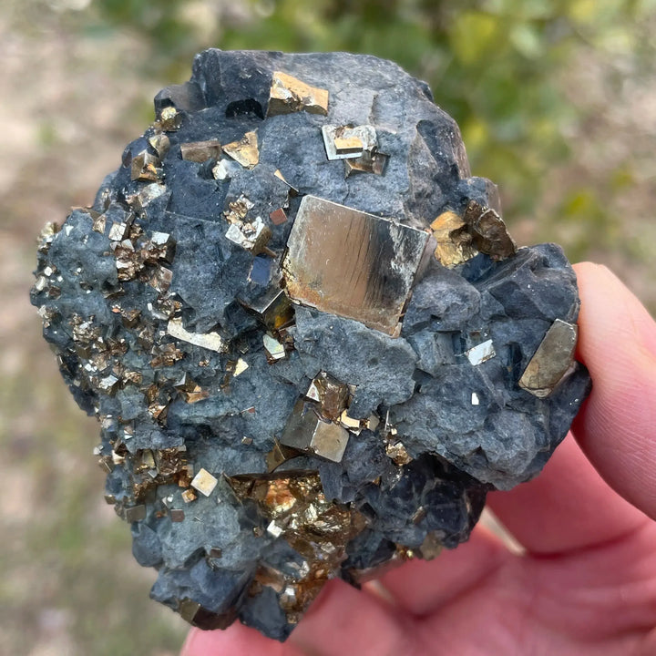 Natural Inner Mongolia Pyrite Mineral Specimen