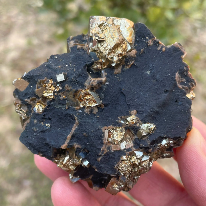 Natural Inner Mongolia Pyrite Mineral Specimen