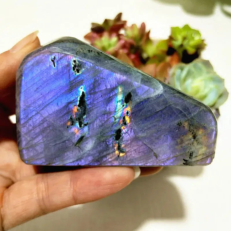 Natural Labradorite Crystal Violet, Gold, and Blue Freeform’s