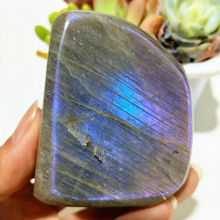 Natural Labradorite Crystal Violet, Gold, and Blue Freeform’s