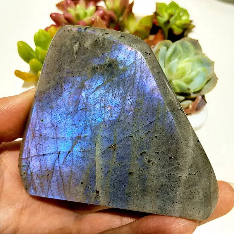 Natural Labradorite Crystal Violet, Gold, and Blue Freeform’s