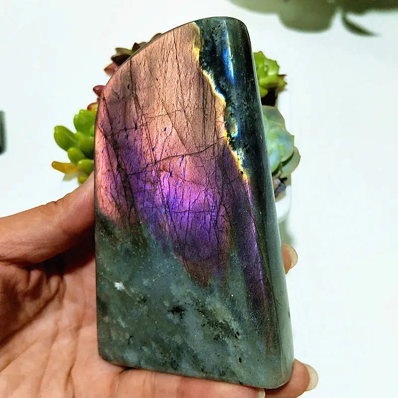 Natural Labradorite Crystal Violet, Gold, and Blue Freeform’s