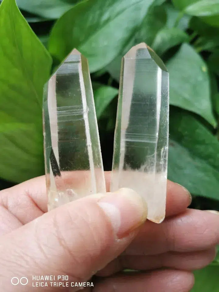 Natural Lemurian Seed Quartz Points