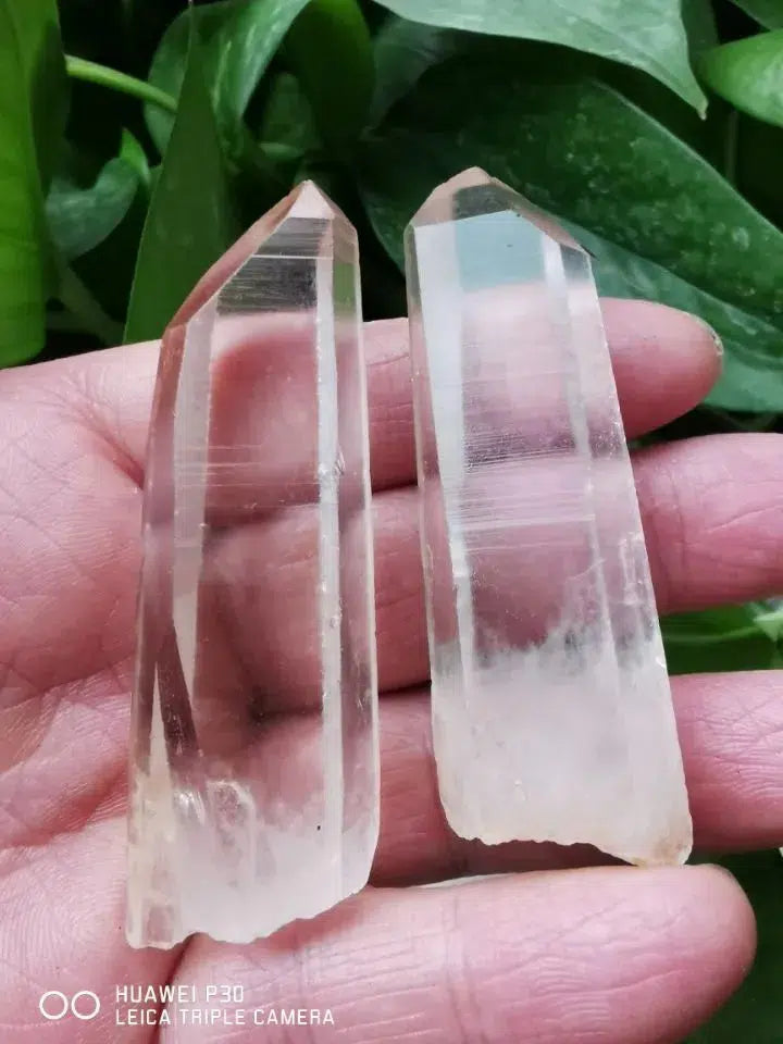 Natural Lemurian Seed Quartz Points