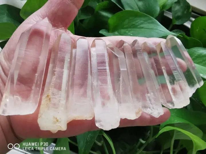 Natural Lemurian Seed Quartz Points