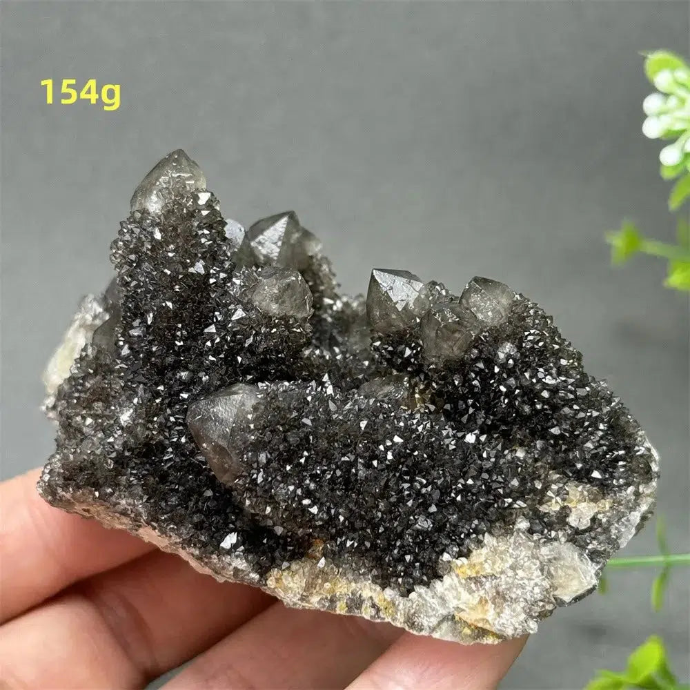 Natural Rare Black Cactus Quartz