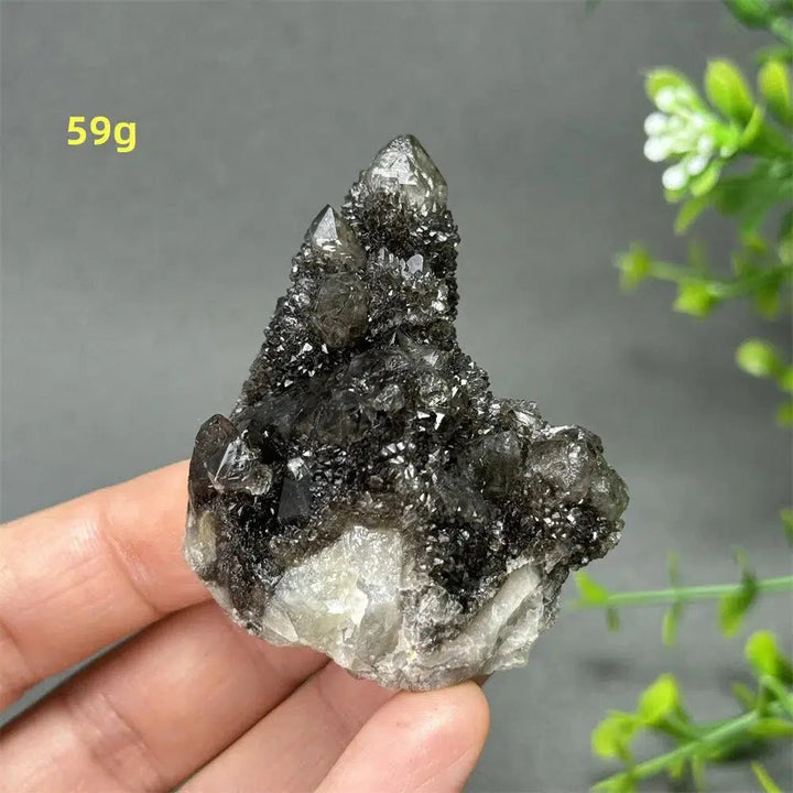 Natural Rare Black Cactus Quartz