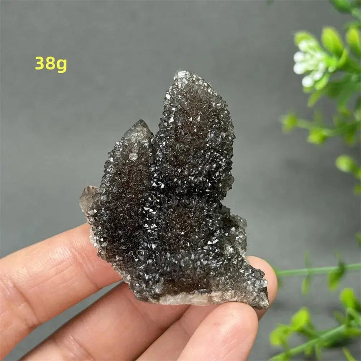 Natural Rare Black Cactus Quartz