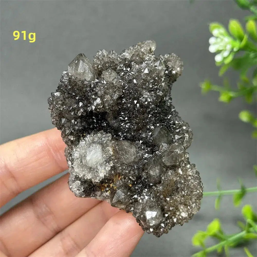 Natural Rare Black Cactus Quartz