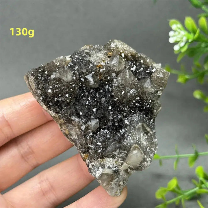 Natural Rare Black Cactus Quartz